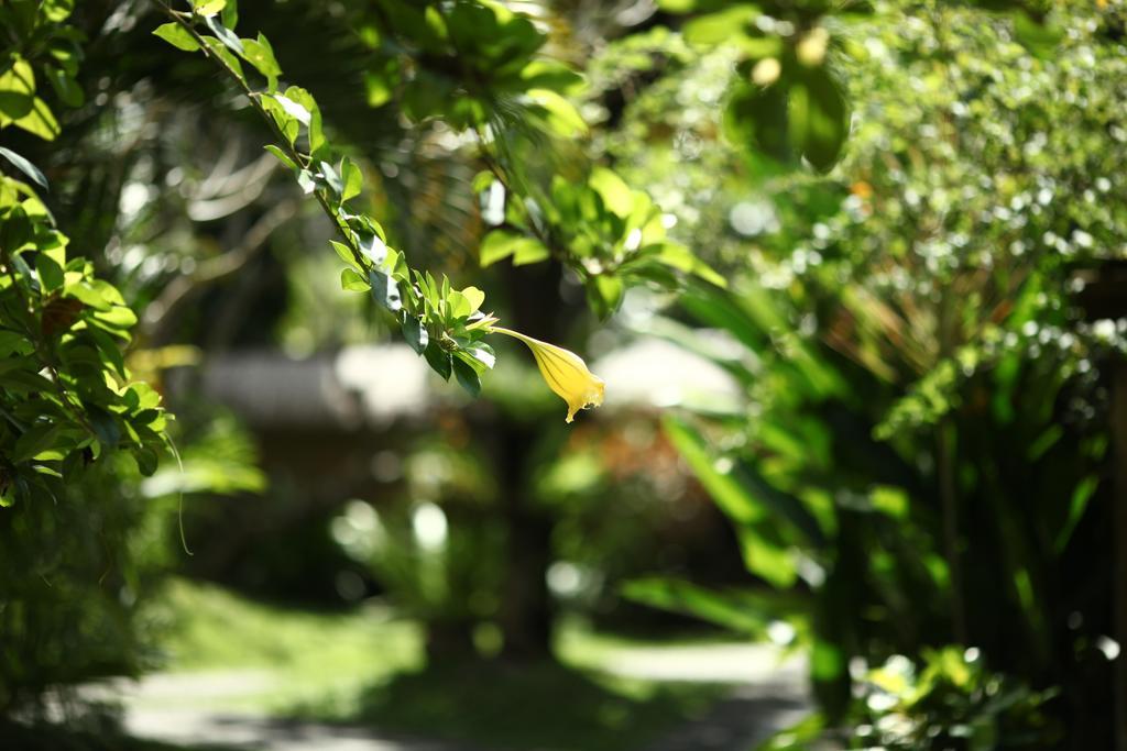 Bali Agung Village - Chse Certified Семиньяк Экстерьер фото